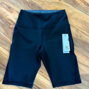 Legend Athletic shorts